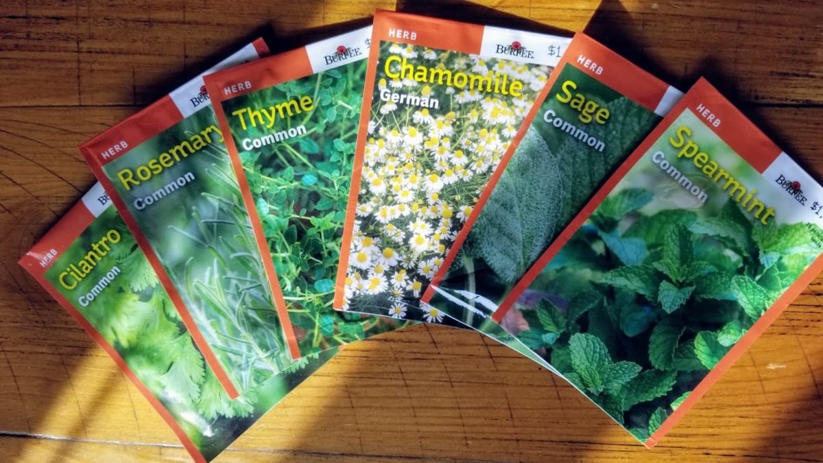 seed suppliers online