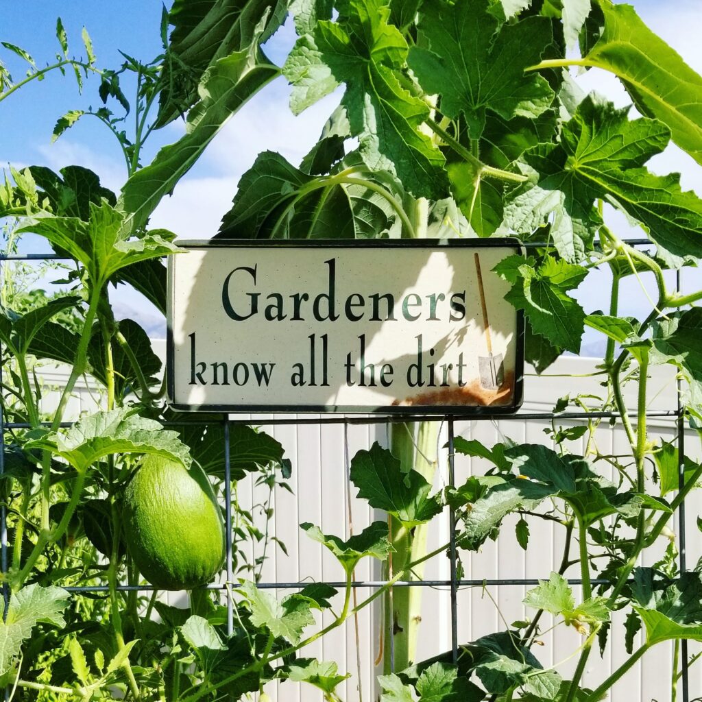 vegetable gardens